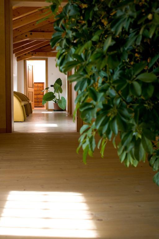 Agriturismo Al Casale Codroipo Εξωτερικό φωτογραφία